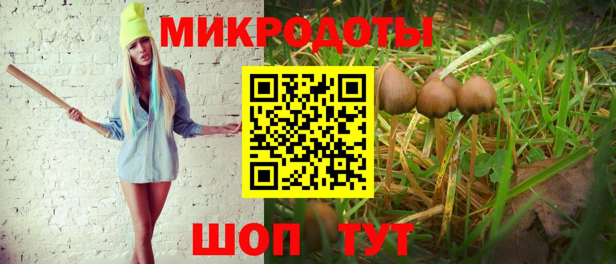 Галлюциногенные грибы прущие грибы Вятские Поляны