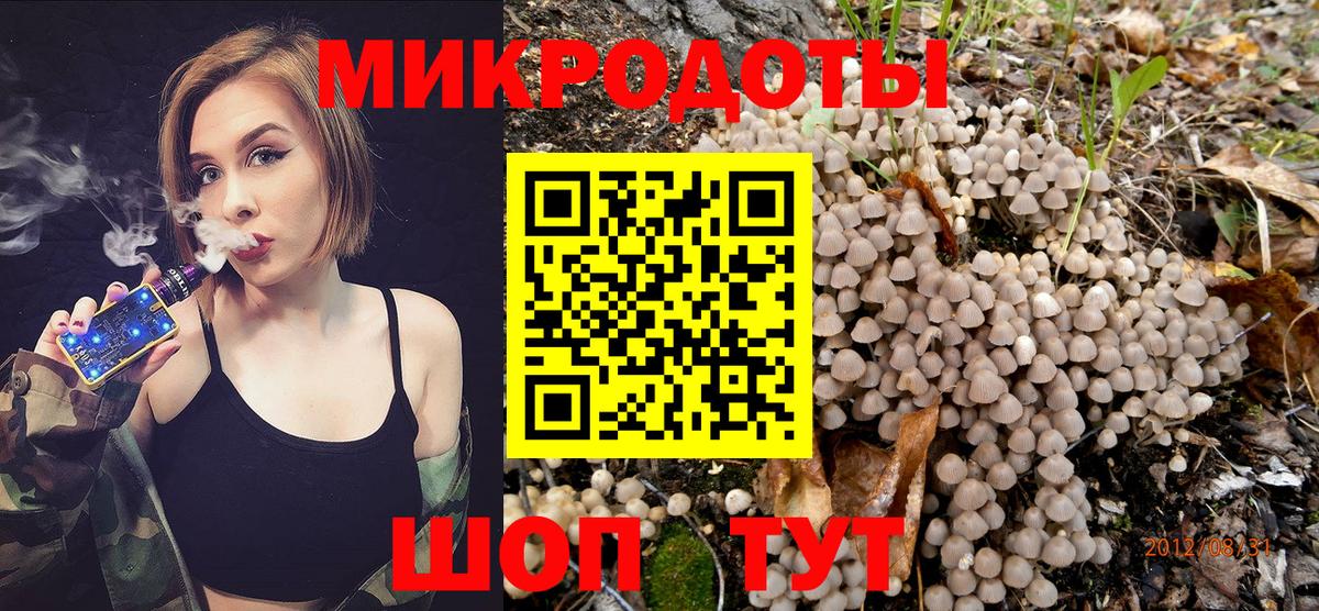 Вятские Поляны  Галлюциногенные грибы мухоморы  Вход с VPN 
